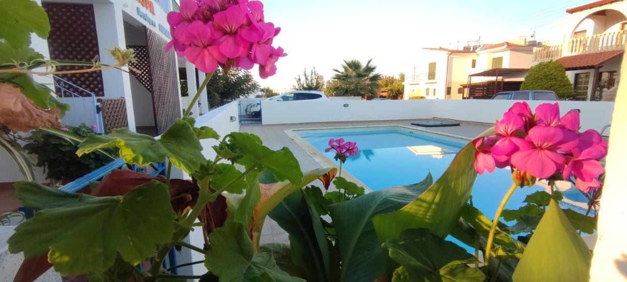Thalassa Seaside Boutique Beach Apartment Polis Luaran gambar